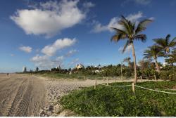 Photo Textures of Background Miami Beach